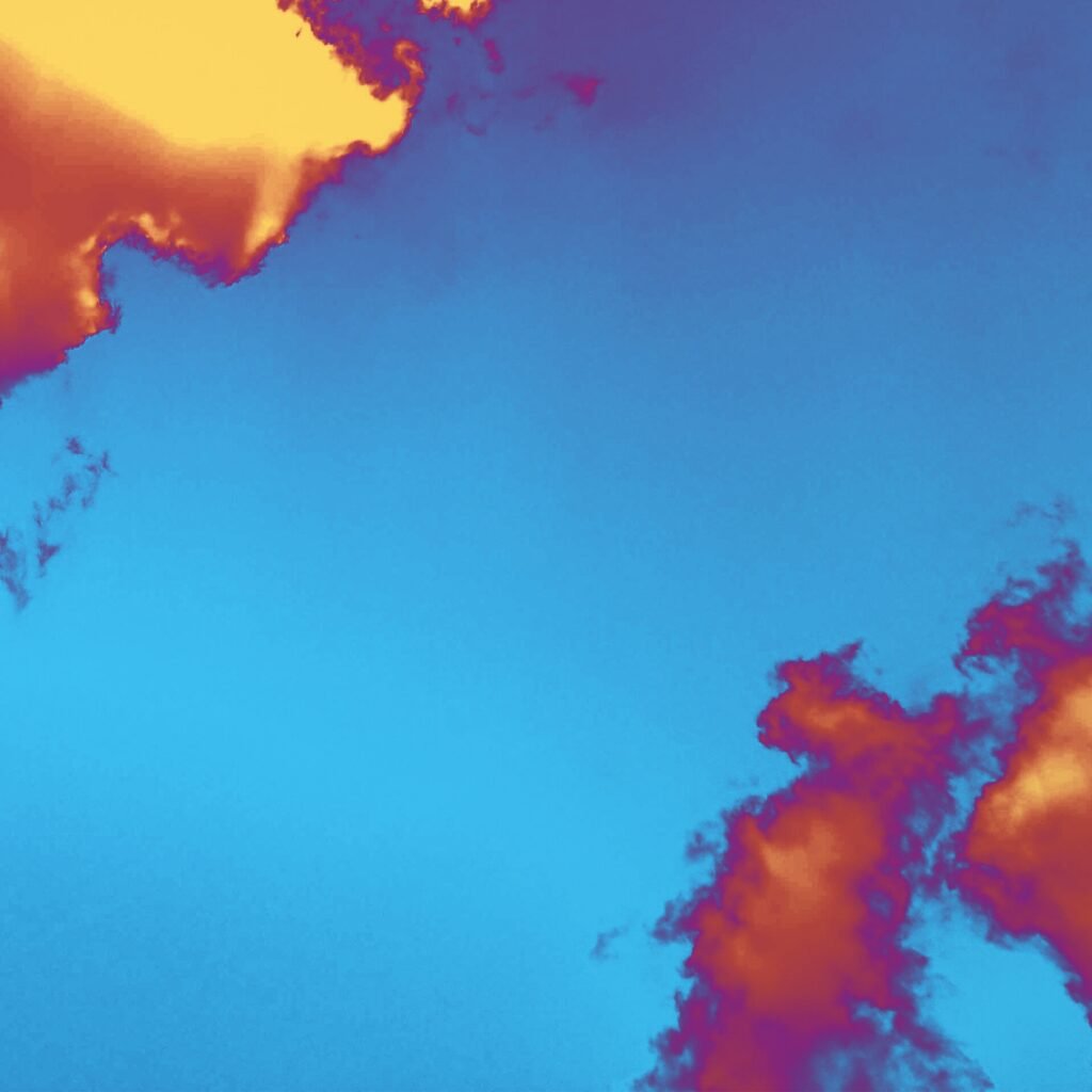 Has To Go Album Cover